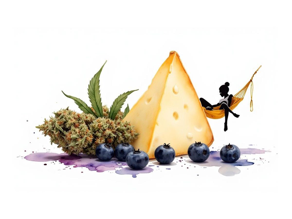 Cheese Berry Strain: Your Guide to Sweet Flavor & Deep Relaxation