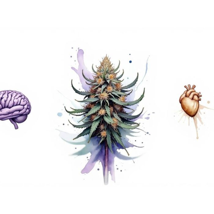 A Guide to Dosilato Strain Effects: Unlock Deep Relaxation